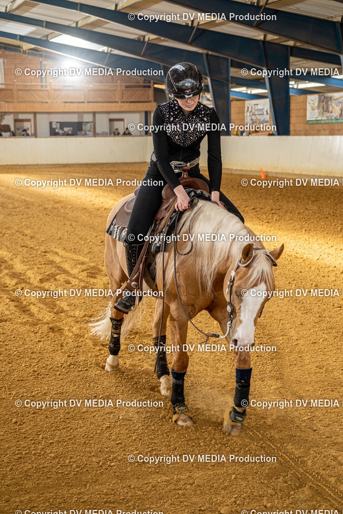 MIT01008 | dv-media-shop - Realisiert mit Pictrs.com