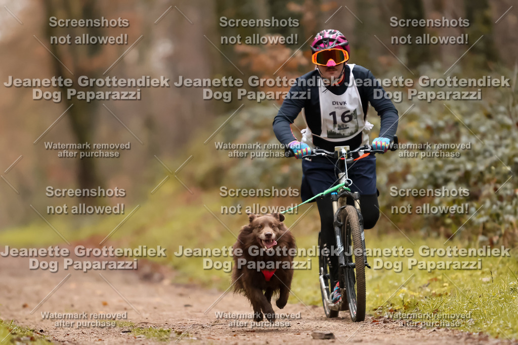 Dog Paparazzi - Speedhunter Mannheim  2025-45 | Dog Paparazzi Jeanette Grottendiek Fotografie & Videografie