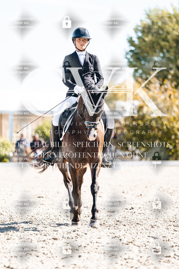 CK909106 | Turnierfotografie Pferdefotografie Trier Rheinland-Pfalz Pferdesport Reitsport Tierfotografie Sportfotografie Pferdevideo Pferdevideografie Equestrianvideography equestrianphotography  - Realisiert mit Pictrs.com