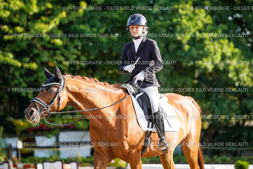 DSC08127 | Pferdegrafie