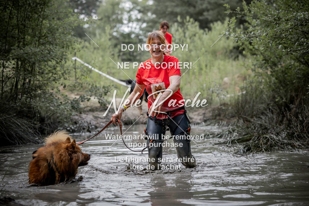 nelerasche_so0800-0930_318 | nelerasche