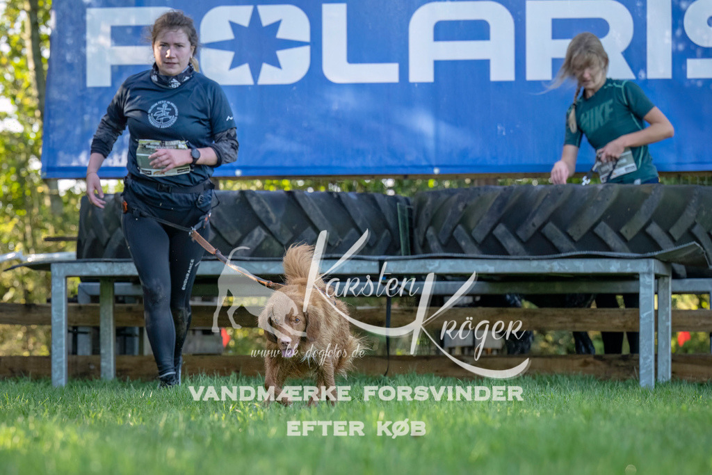 1014--3 | kk-dogfotos