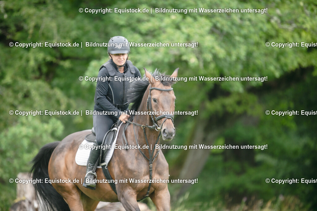 20250726_Vielseitigkeitslehrgang-Marbach_0367 | Foto: Thomas Hartig