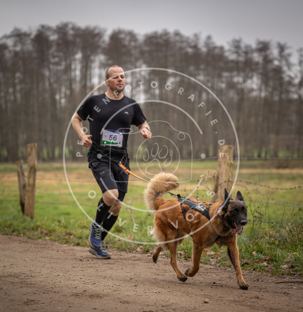 Pfotenfotografie_DV3A3083 | Hundefotografie, Tierfotograf, Pfotenfotografie, Fotoshooting Hund, Hunde Portrait, Hundesport, Hundeportraits, Heideshooting, Hunde, Sportfotograf, Hundefotograf, Turnierhundsport, THS,  - Realisiert mit Pictrs.com
