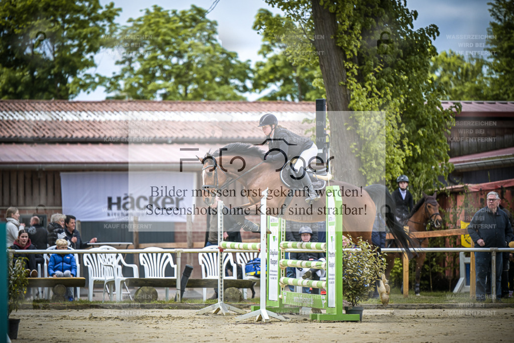 DOS_5691 | Entdecke hochwertige Reitturnierfotos von Foto Oger. Professionell, emotional und authentisch – jetzt Lieblingsmomente im Shop bestellen.Deutschlandweite Turnierfotografie. - Realisiert mit Pictrs.com