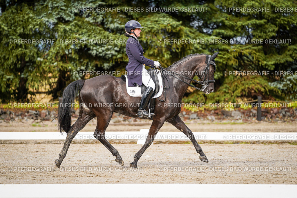 DSC09822 | Pferdegrafie