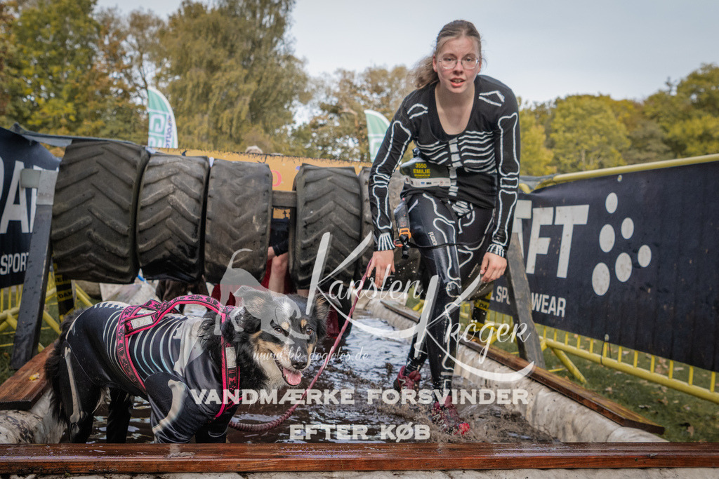 1451_ZZ90489 | kk-dogfotos