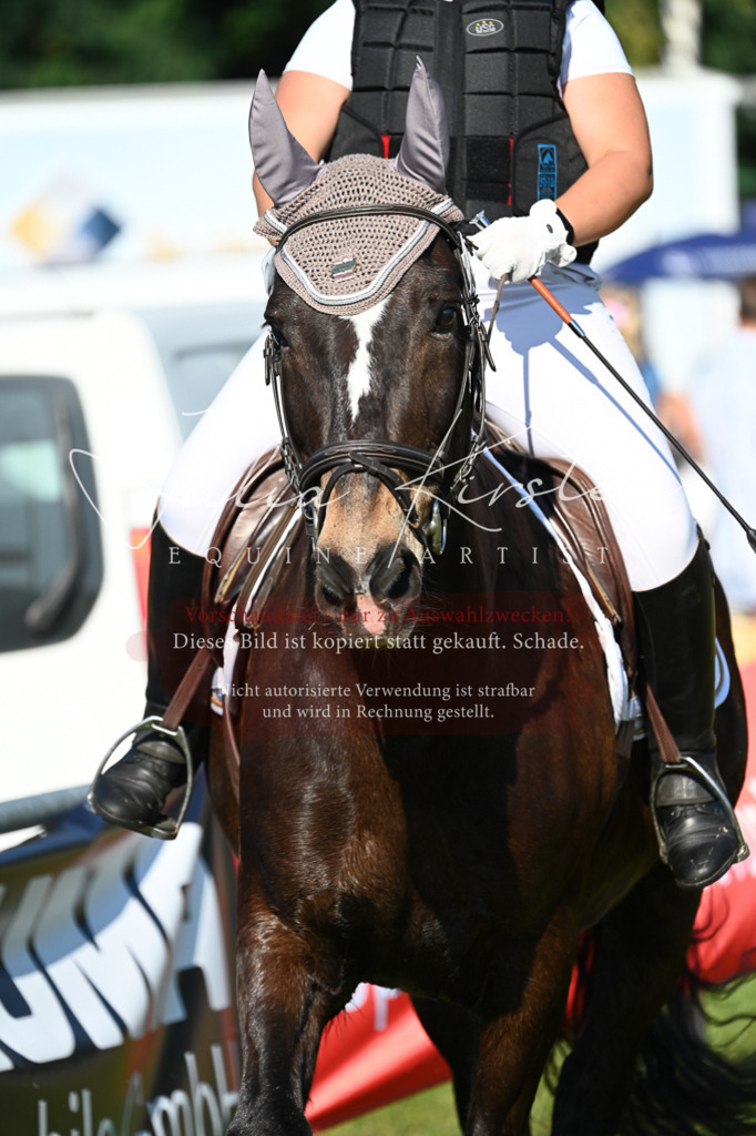 DSC_5174 | Pferde- und Turnierfotografie in Westsachsen. Pferdeportraits, Auftragszeichnungen und intuitive Kunst.