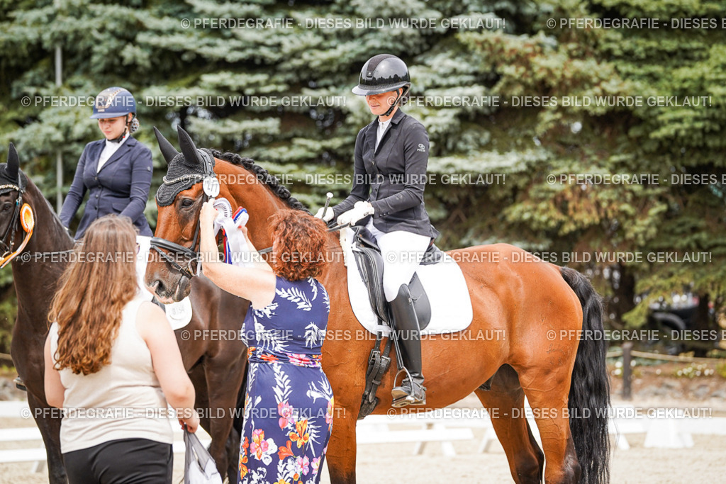 DSC04538 | Pferdegrafie