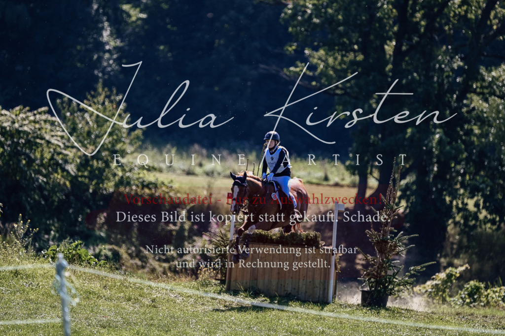 DSC_1649 | Pferde- und Turnierfotografie in Westsachsen. Pferdeportraits, Auftragszeichnungen und intuitive Kunst.