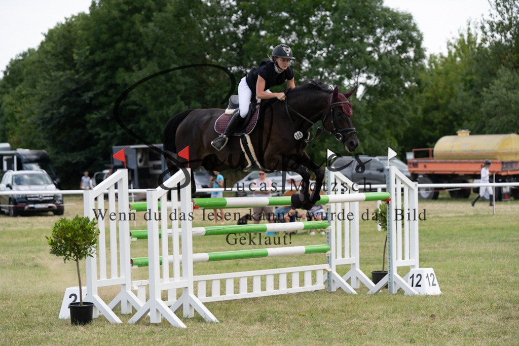 A7V02297 | Pferdefotograf