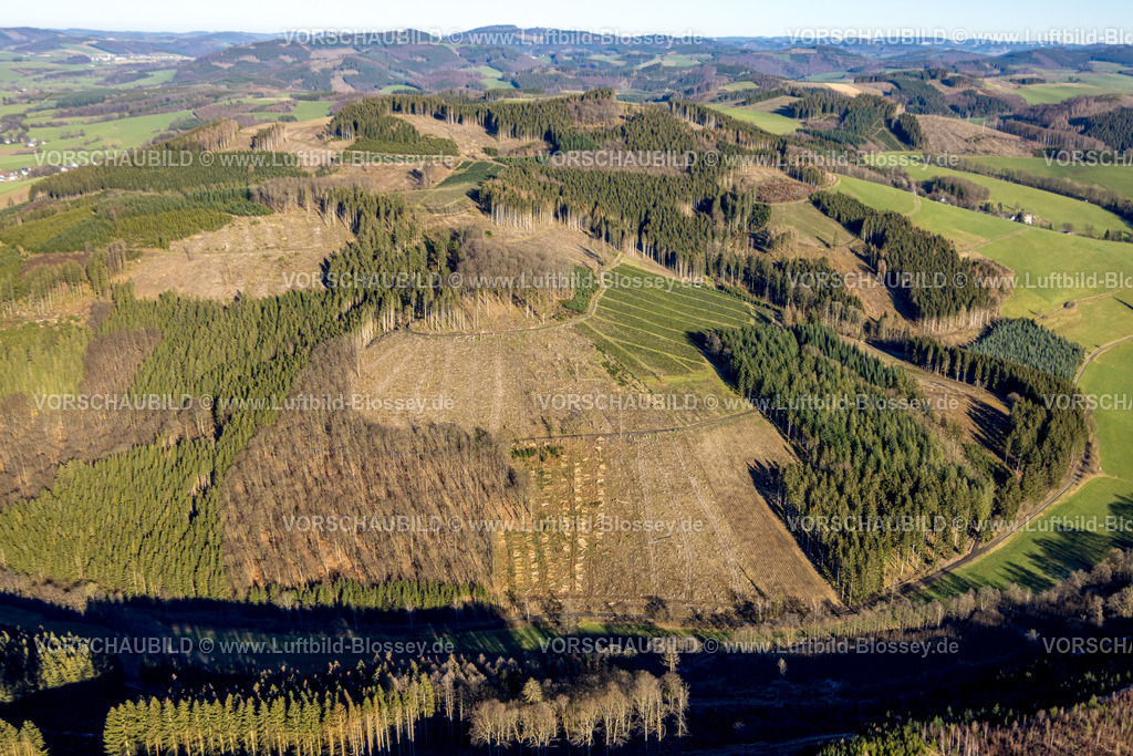 Schmallenberg230205202Dorlar | Luftbild, Waldgebiet mit Waldschäden, Frielinghausen, Eslohe, Sauerland, Nordrhein-Westfalen, Deutschland