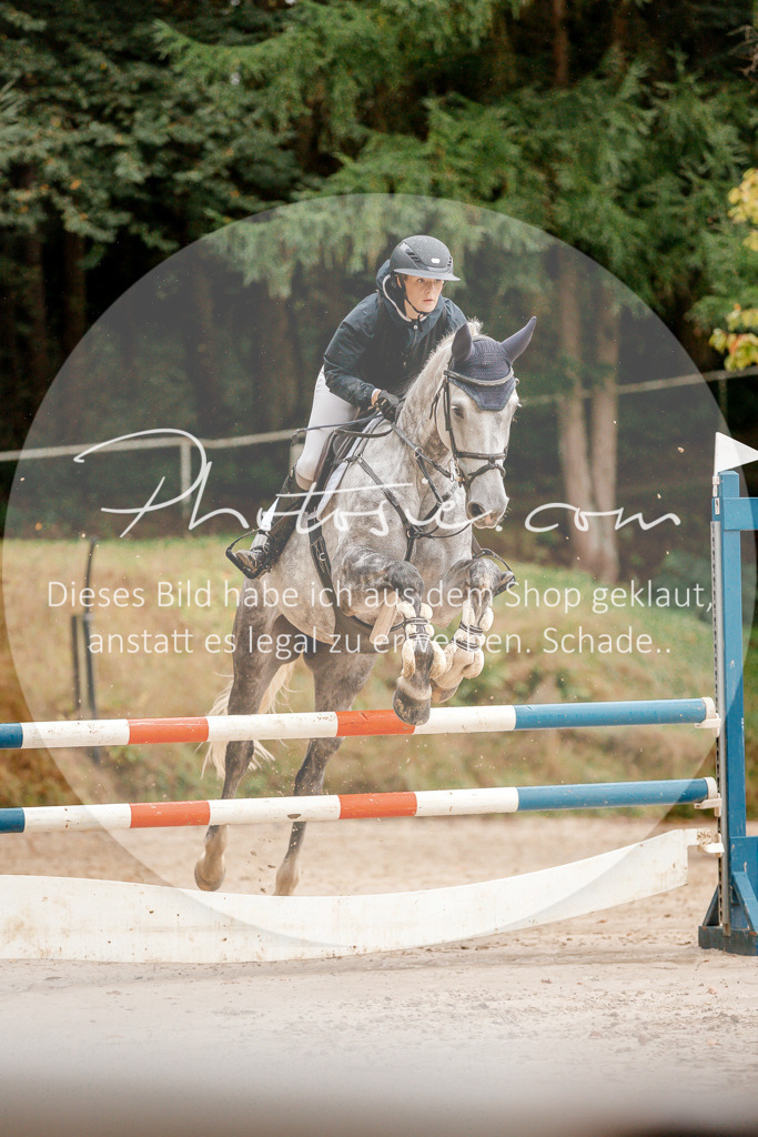 3I6A5946 | Stimmungsvolle Portraits und Reitsportfotografie im Ruhrgebiet und im Münsterland.

Pferdefotografie, Hundefotografie, Tierfotografie, Reportagen, Portraits von Tier und Mensch, Turnierfotografie in Bochum, Recklinghausen, Marl, Haltern am See, Dülmen.. - Realisiert mit Pictrs.com