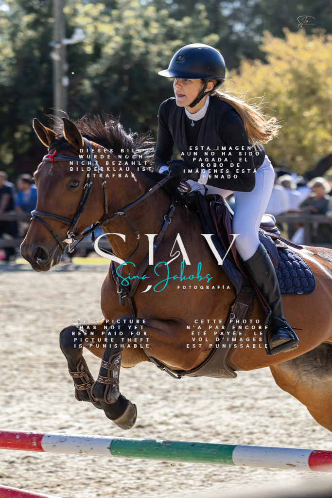 IMG_6413 | s-jay-photography - Realisiert mit Pictrs.com