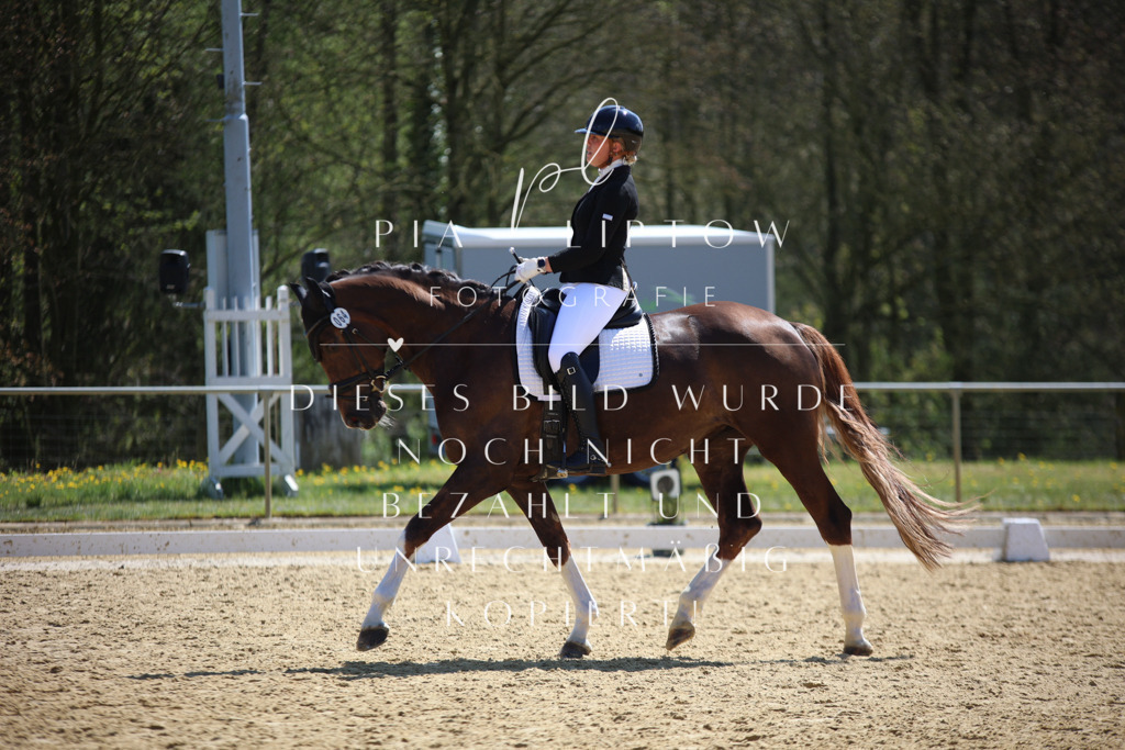 IMGT2551 | pl-fotografie