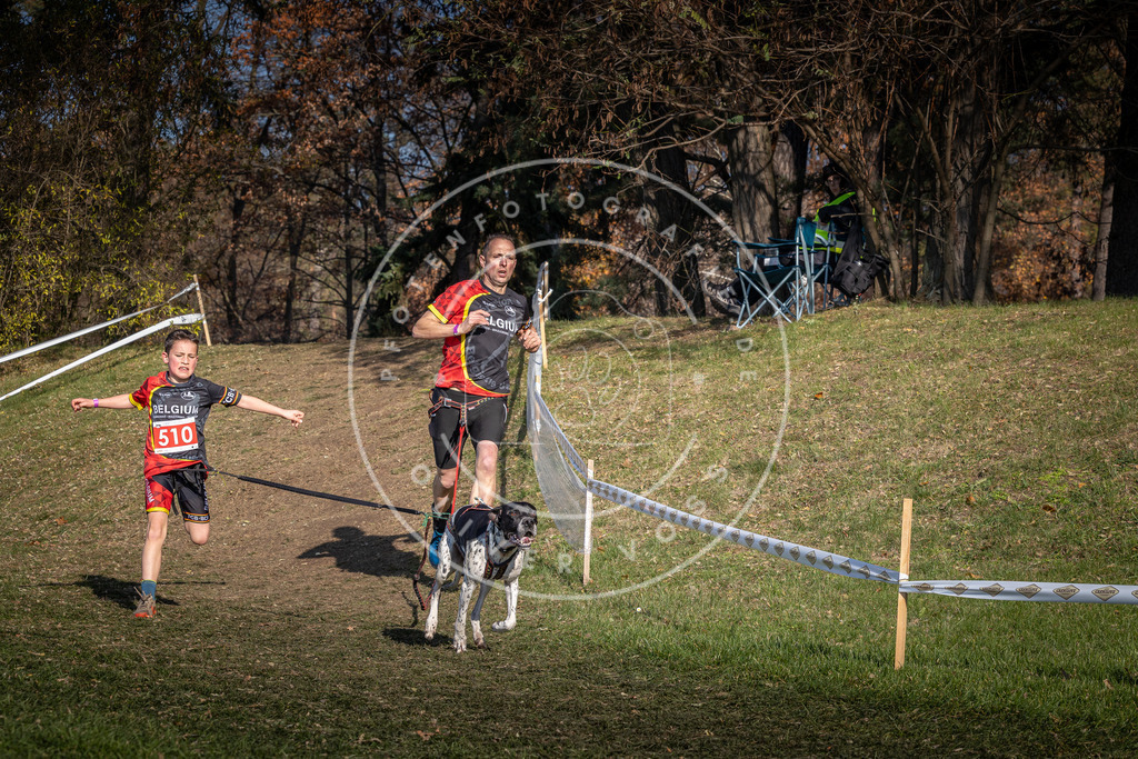 CaniXpix_0L8A8342 | Hundefotografie, Tierfotograf, Pfotenfotografie, Fotoshooting Hund, Hunde Portrait, Hundesport, Hundeportraits, Heideshooting, Hunde, Sportfotograf, Hundefotograf, Turnierhundsport, THS,  - Realisiert mit Pictrs.com