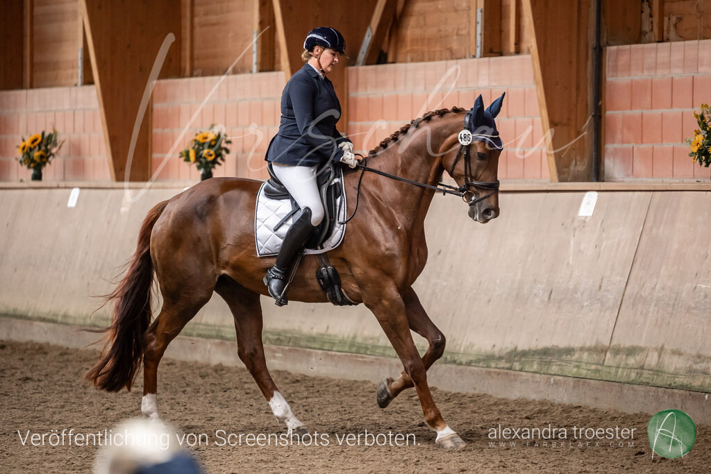 250913_Barop_11_102 | farbklaex.com