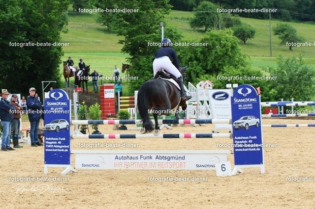 OHT2001 | Fotografie, Tiere, Hunde, Katzen, Pferde, Sportfotografie, Fotosession, Tierfotografie, Turnierfotografie, Fotografin, Fotograf - Realisiert mit Pictrs.com