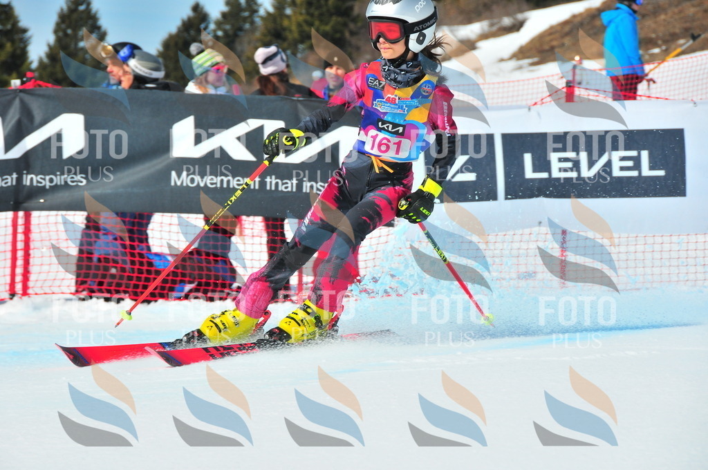 DSC_5175 | holidayphoto