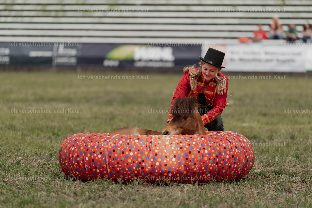 Showprogramm-228 | working equitationturnier fotograf videograf stoibphotography marixx film working equitation deutschland reitsport turnierfotografie eventfotografie equestrian events