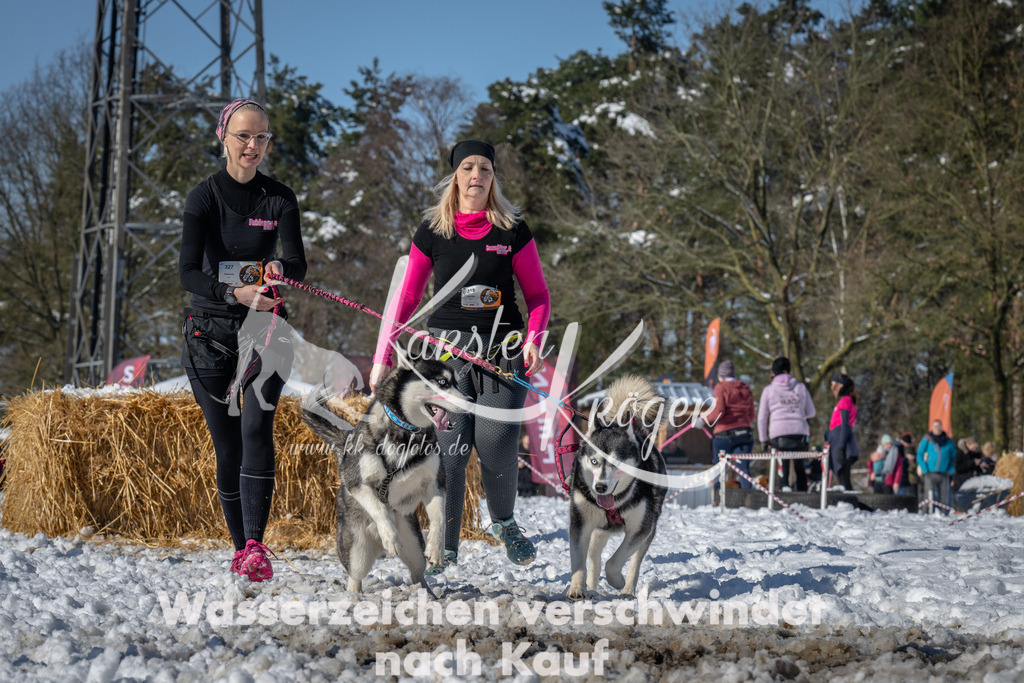 1127_ZZ92276-3 | kk-dogfotos
