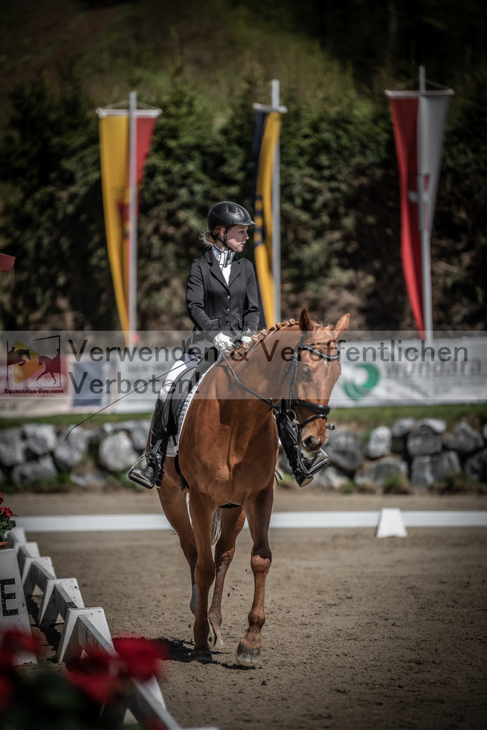 DSC_0014 | equestrian-live-com