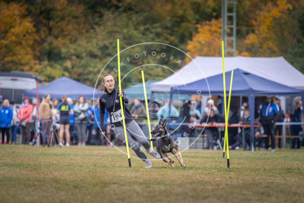 Pfotenfotografie_DV3A0957 | Hundefotografie, Tierfotograf, Pfotenfotografie, Fotoshooting Hund, Hunde Portrait, Hundesport, Hundeportraits, Heideshooting, Hunde, Sportfotograf, Hundefotograf, Turnierhundsport, THS,  - Realisiert mit Pictrs.com