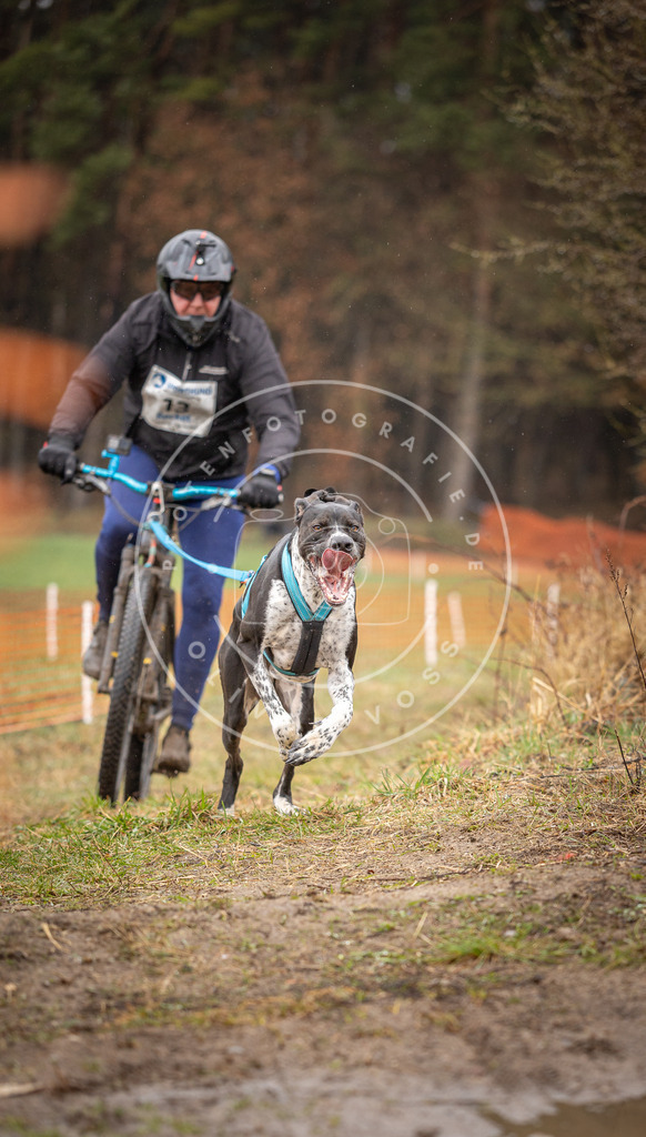 DV3A9116 | Hundefotografie, Tierfotograf, Pfotenfotografie, Fotoshooting Hund, Hunde Portrait, Hundesport, Hundeportraits, Heideshooting, Hunde, Sportfotograf, Hundefotograf, Turnierhundsport, THS,  - Realisiert mit Pictrs.com