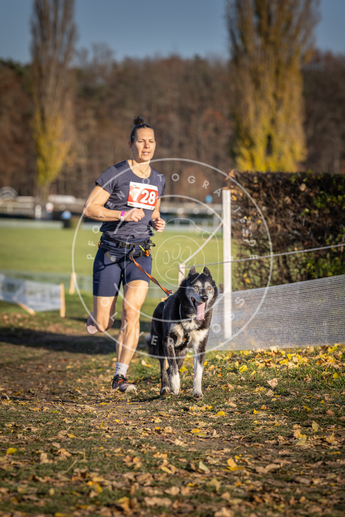 CaniXpix_DV3A1979 | Hundefotografie, Tierfotograf, Pfotenfotografie, Fotoshooting Hund, Hunde Portrait, Hundesport, Hundeportraits, Heideshooting, Hunde, Sportfotograf, Hundefotograf, Turnierhundsport, THS,  - Realisiert mit Pictrs.com