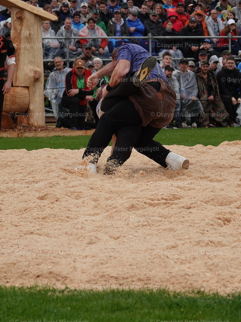 DSC06280 | Schwingen - Realisiert mit Pictrs.com
