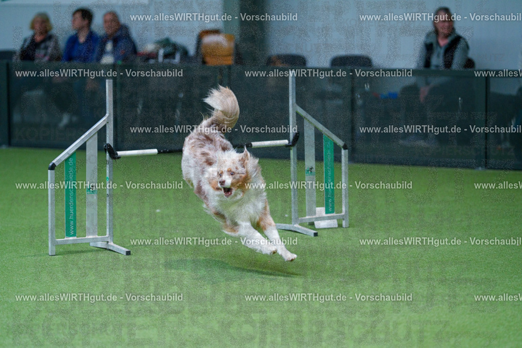 @allesWIRTHgut_Tierfotografie - www.allesWIRTHgut.de - 2604251051-7R500316 | Professionelle Tierfotografie in Mönchengladbach von Daniel Wirth (allesWIRTHgut). Liebevolle & natürliche Bilder von Hunden & Katzen für unvergessliche Erinnerungen.