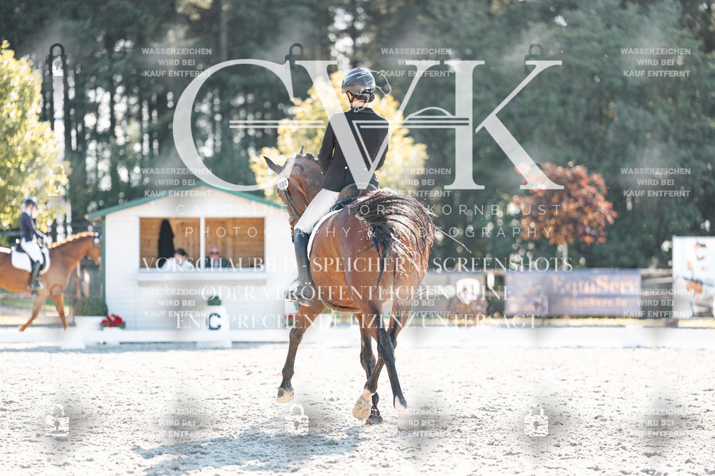 CK906758 | Turnierfotografie Pferdefotografie Trier Rheinland-Pfalz Pferdesport Reitsport Tierfotografie Sportfotografie Pferdevideo Pferdevideografie Equestrianvideography equestrianphotography  - Realisiert mit Pictrs.com