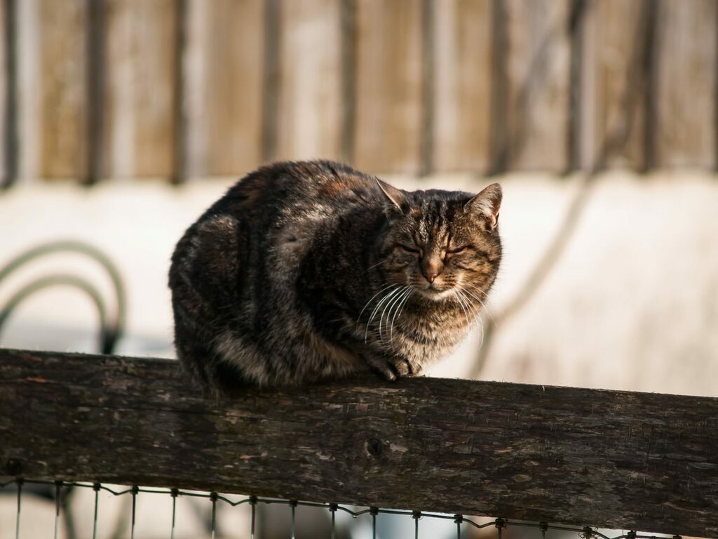 PSX_20221231_000759 | mtkfoto_ - Realisiert mit Pictrs.com