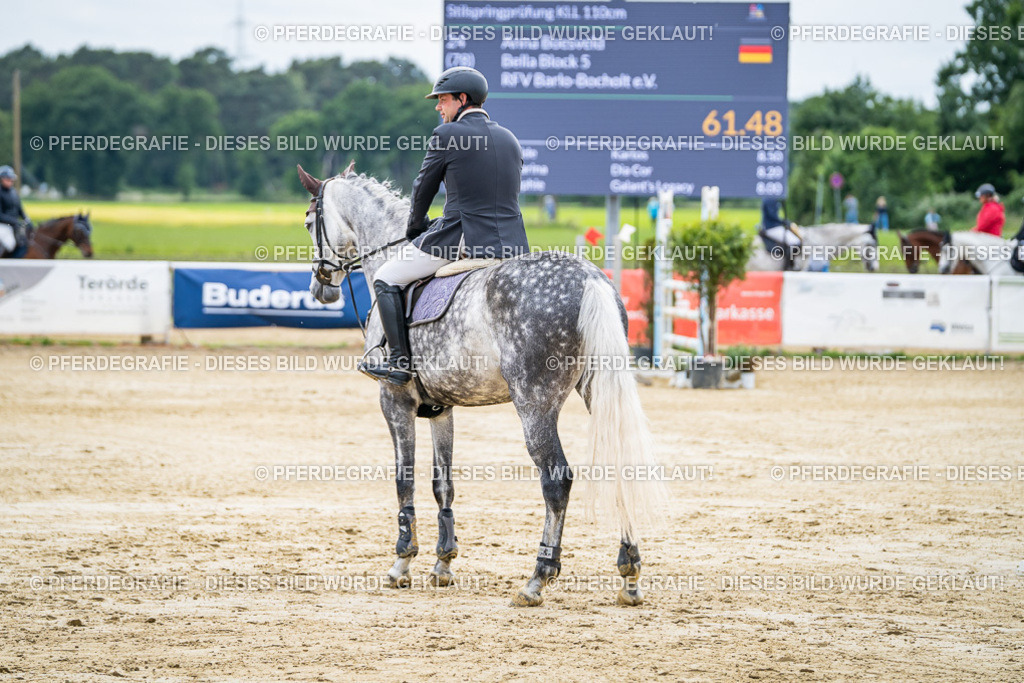 DSC04803 | Pferdegrafie