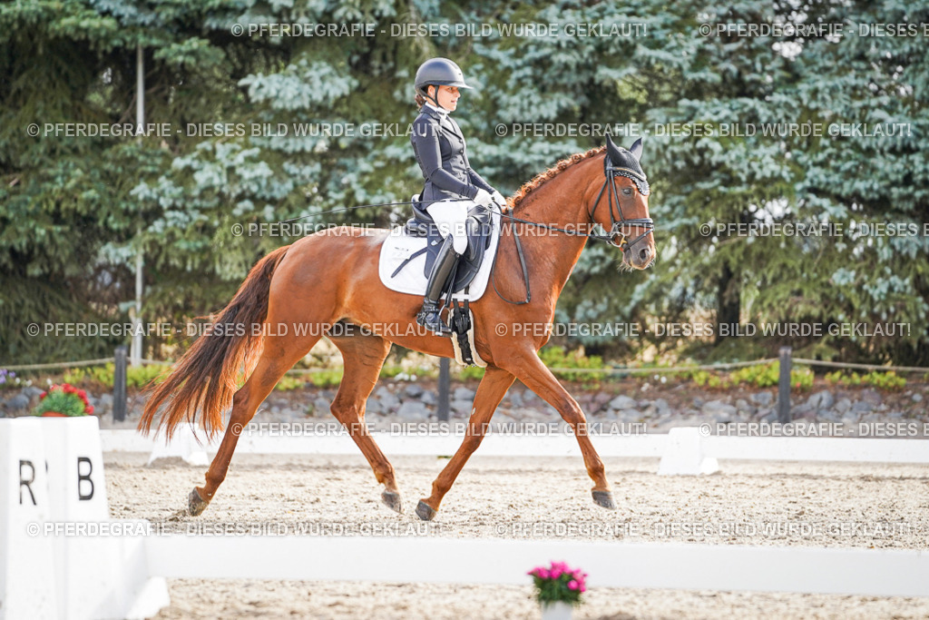 DSC00741 | Pferdegrafie