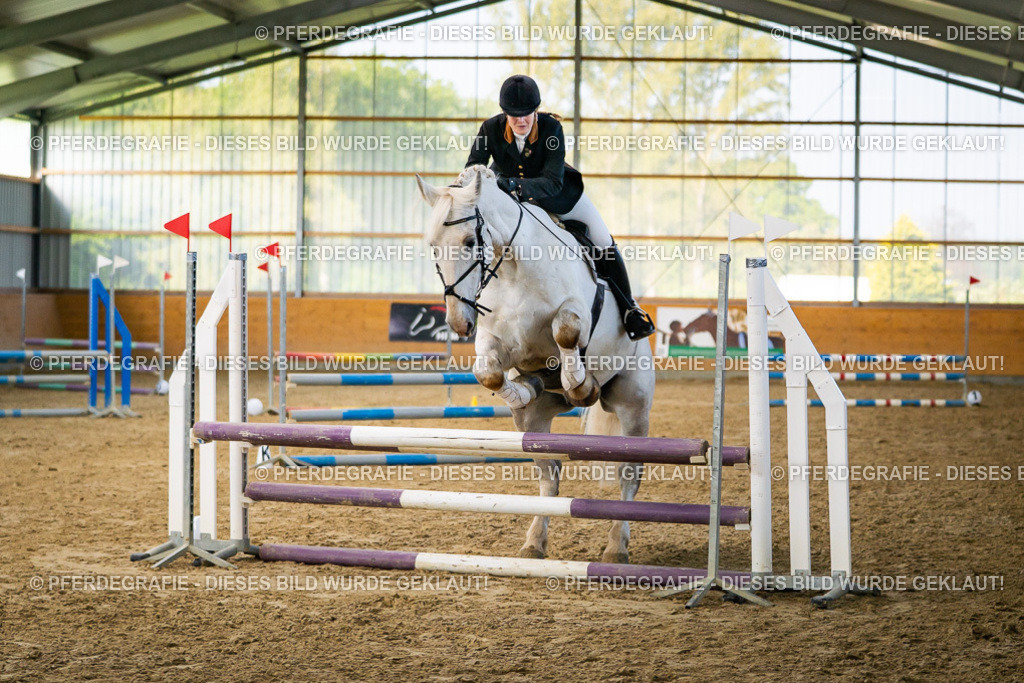 DSC00740 | Pferdegrafie