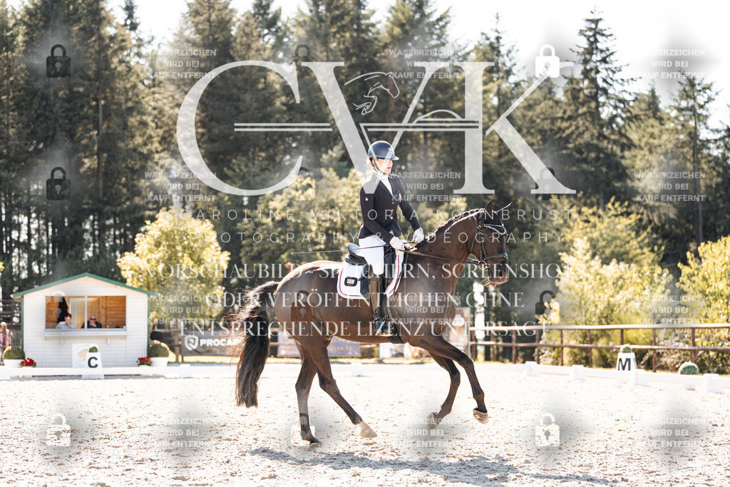 CK905604 | Turnierfotografie Pferdefotografie Trier Rheinland-Pfalz Pferdesport Reitsport Tierfotografie Sportfotografie Pferdevideo Pferdevideografie Equestrianvideography equestrianphotography  - Realisiert mit Pictrs.com