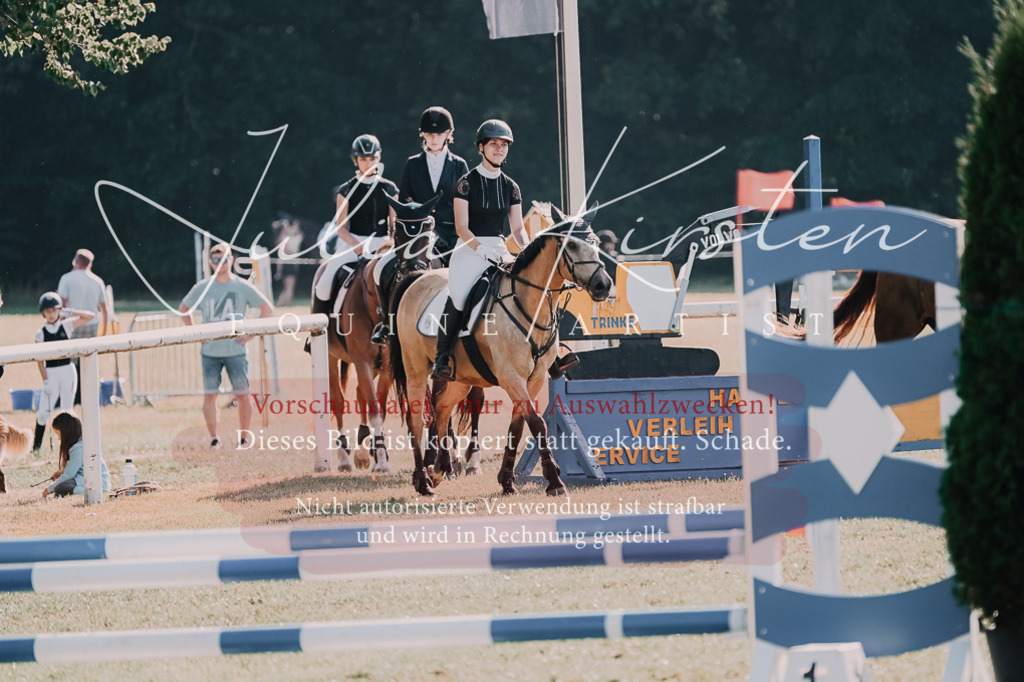 DSC_4882 | Pferde- und Turnierfotografie in Westsachsen. Pferdeportraits, Auftragszeichnungen und intuitive Kunst.