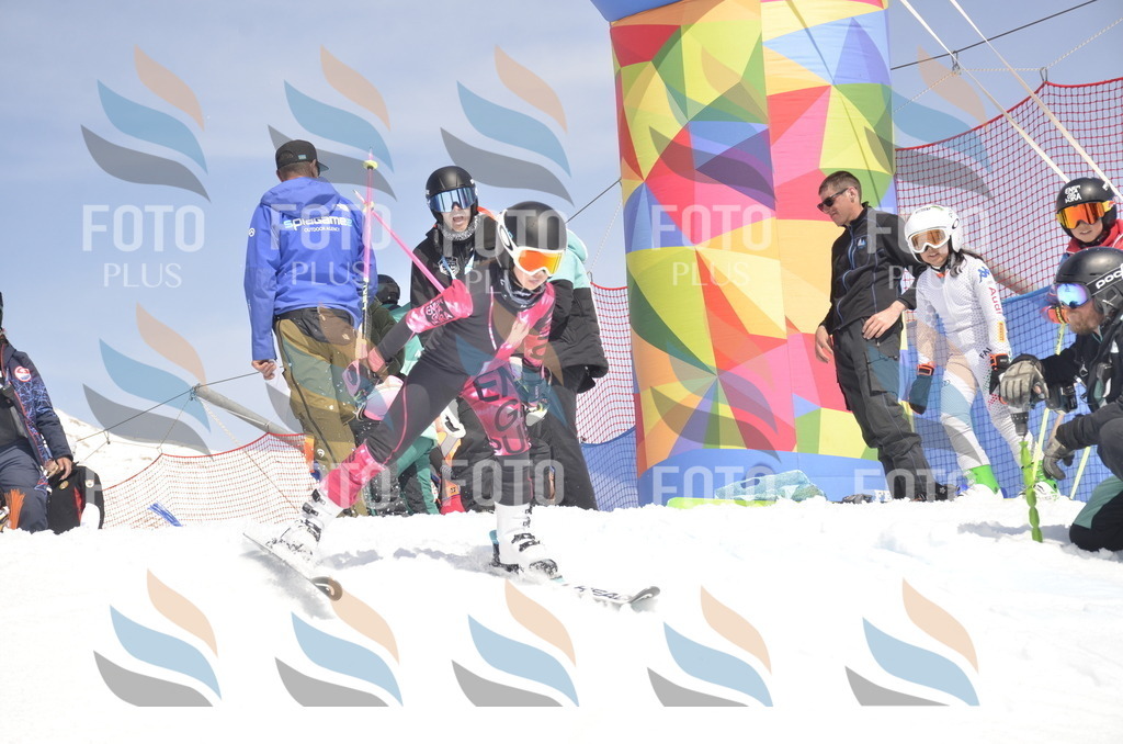 _ELE9365 | holidayphoto