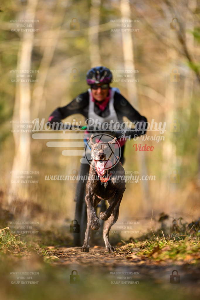 MompixPhotography_6ReiatRennen2026_SO_Bike-36 | PayLife