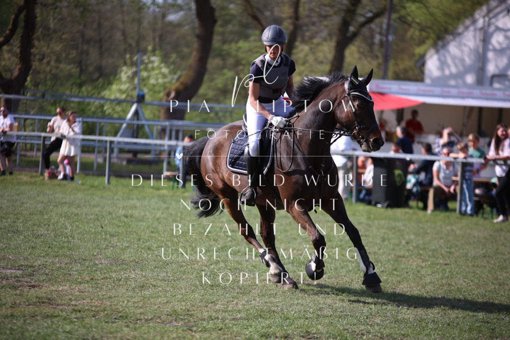 IMGT9111 | pl-fotografie