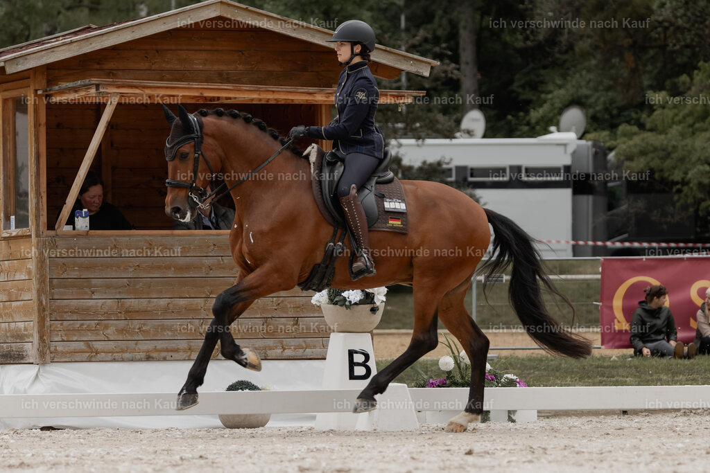 WE_DR_Stoib_335_PI2025_407 | Pferd International München 2025