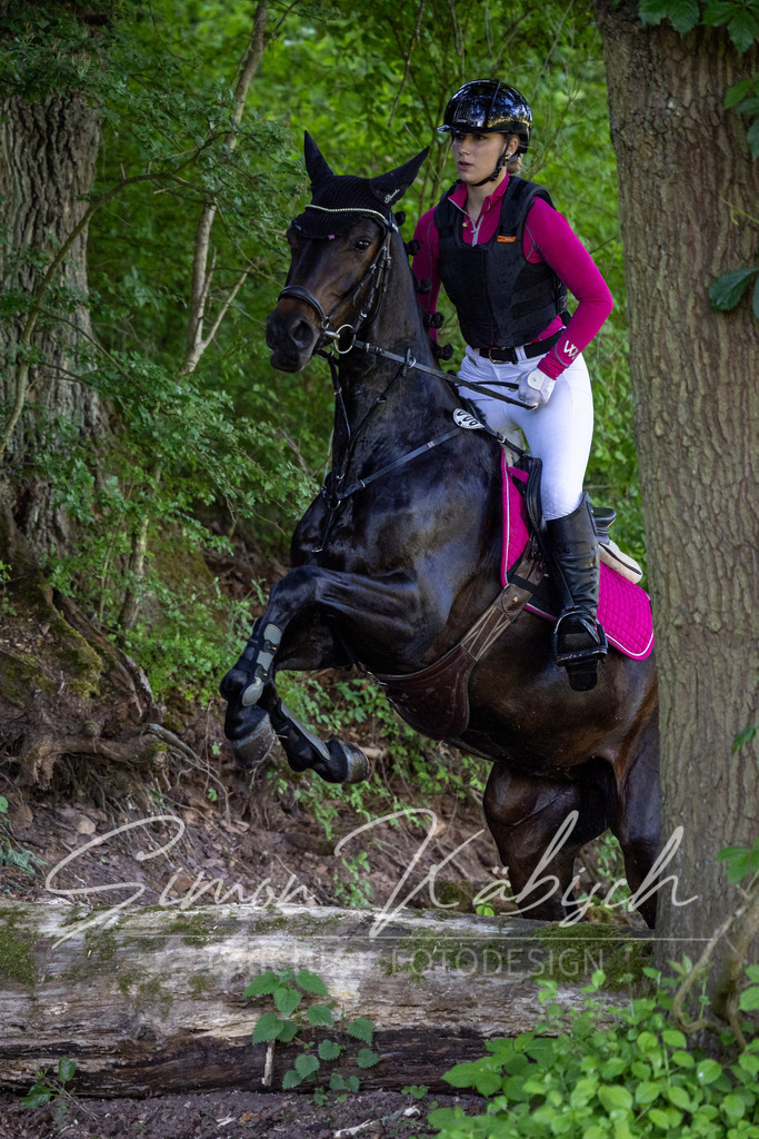 20260523-_3LI6026 | Tierfotografie Pferde, Hunde, Katzen, Haustiere.
Turnierfotografie Reitturniere, Reiten, Springreiten, Dressur in Hanau, dem Main-Kinzig-Kreis und dem Rhein-Main- Gebiet um Frankfurt