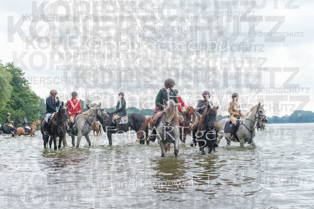 Jagd Perdoel_MarinaHewigDSCF3611 | Fotografie, FotoArt, PferdesportArt, Pferdesportfotografie, Landschaftsfotografie, Reisefotografie, Reise, Pferde - Realisiert mit Pictrs.com