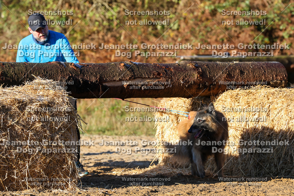 Dog Paparazzi - Strongdog 10-25-985 | Dog Paparazzi Jeanette Grottendiek Fotografie & Videografie - Realisiert mit Pictrs.com