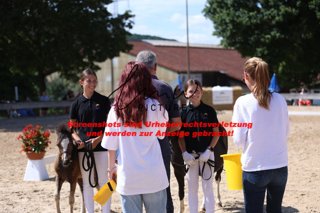 Fohlenschau_Schwäbisch_Hall_IMPRESSIONEN_12 | lmwpictures - Realisiert mit Pictrs.com