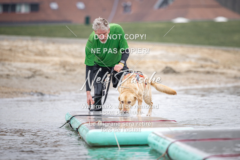 nelerasche_Hulsbeek_Sa1030-1100_660 | nelerasche