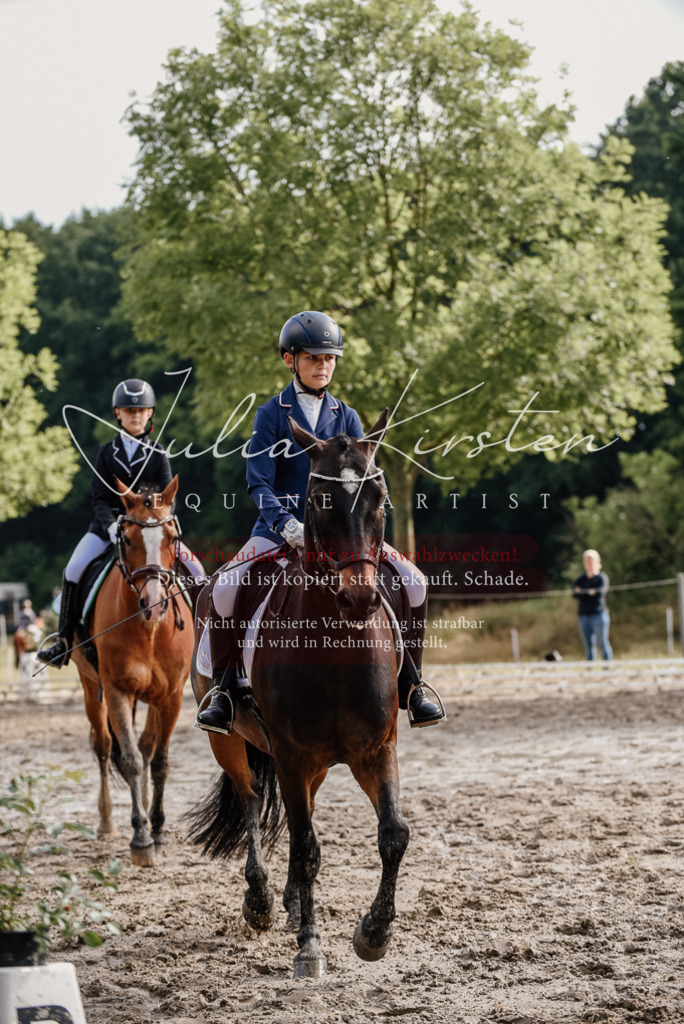 DSC_9131 | Pferde- und Turnierfotografie in Westsachsen. Pferdeportraits, Auftragszeichnungen und intuitive Kunst.