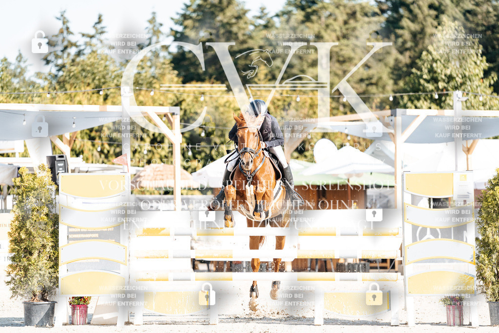 CK901776 | Turnierfotografie Pferdefotografie Trier Rheinland-Pfalz Pferdesport Reitsport Tierfotografie Sportfotografie Pferdevideo Pferdevideografie Equestrianvideography equestrianphotography  - Realisiert mit Pictrs.com