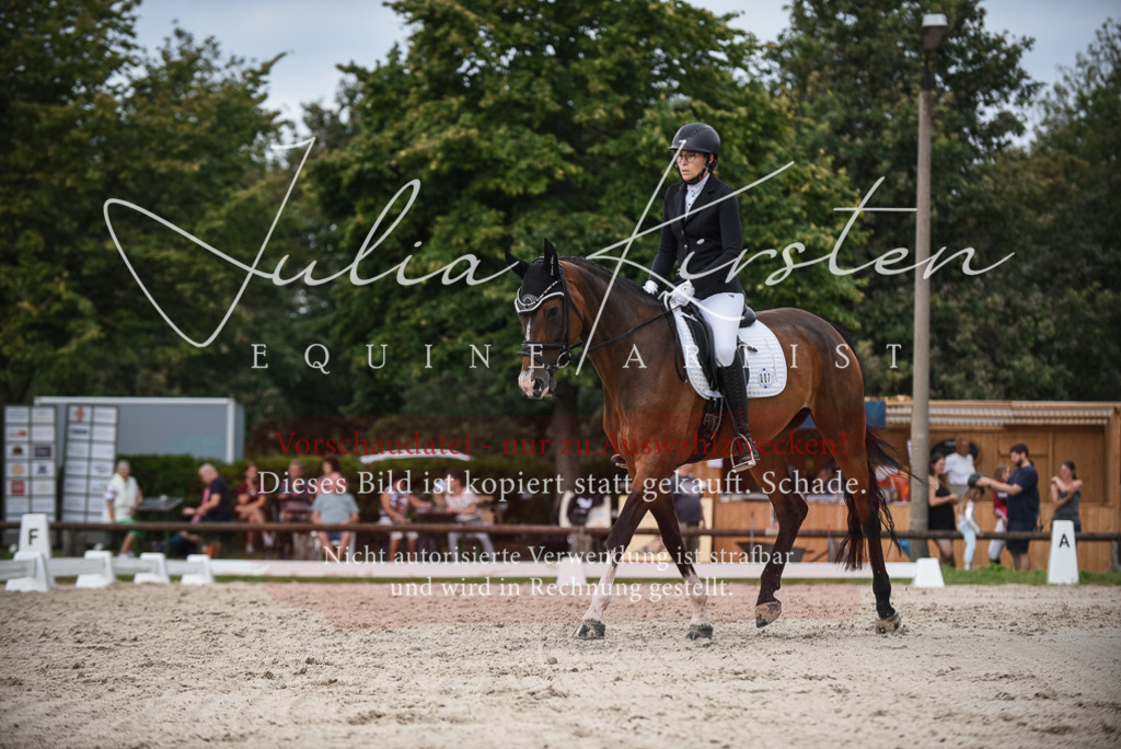 DSC_8533 | Pferde- und Turnierfotografie in Westsachsen. Pferdeportraits, Auftragszeichnungen und intuitive Kunst.